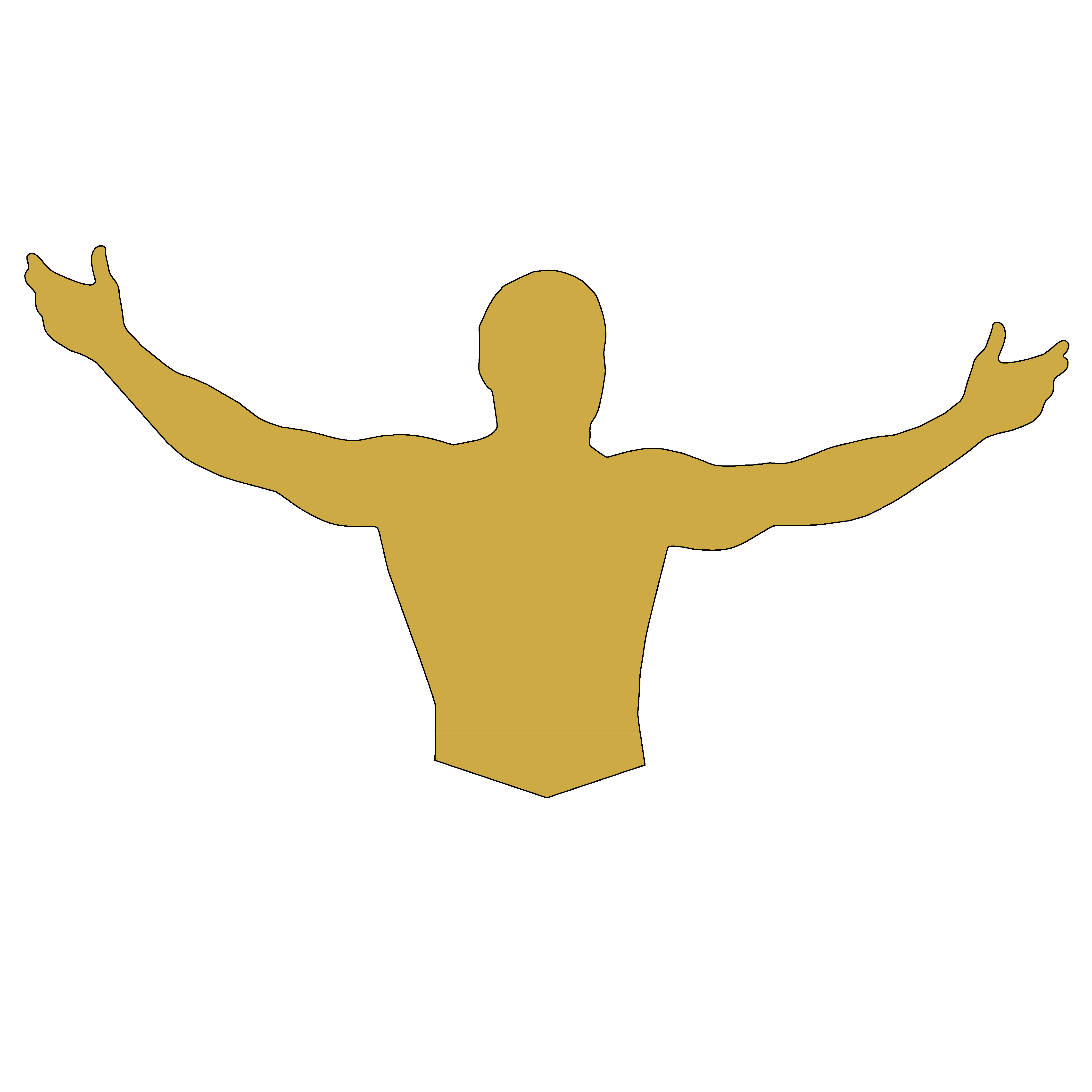 The Best Wrestler - Jerome Logo